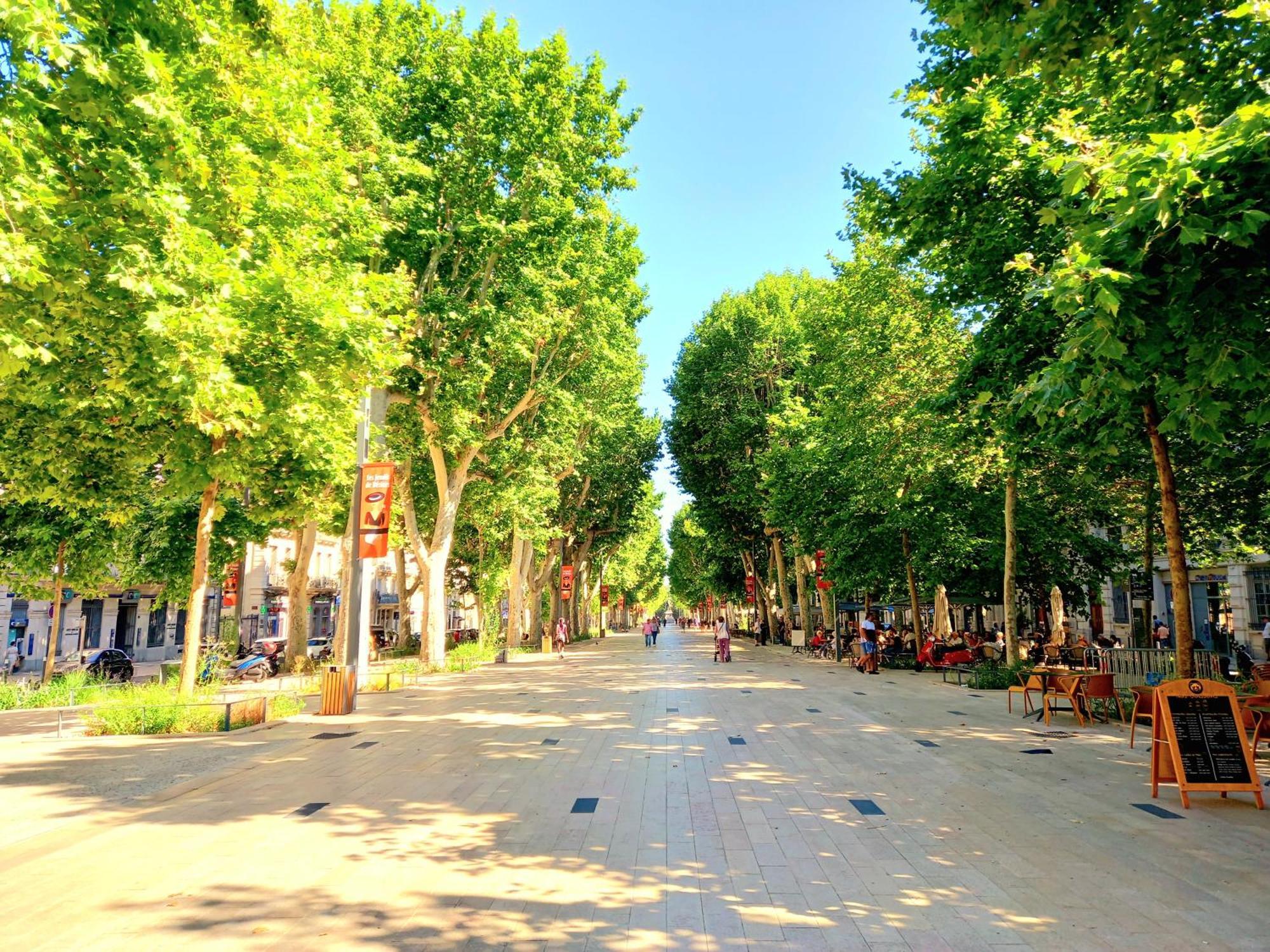 T3 Aqui Es Besiers - Centre-Historique - Cathedrale & Halles - Clim - Wifi - Free Parking Sur Demande Beziers Bagian luar foto